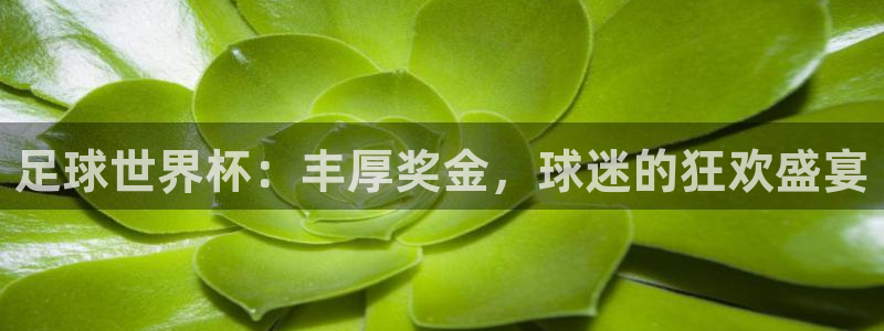 免费看足球直播比赛：足球世界杯：丰厚奖金，球迷的狂欢盛宴
