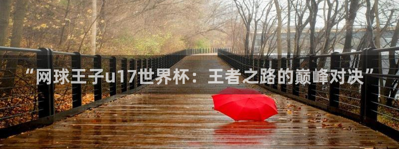 世界杯比赛赛程：“网球王子u17世界杯：王者之路的巅峰对决”