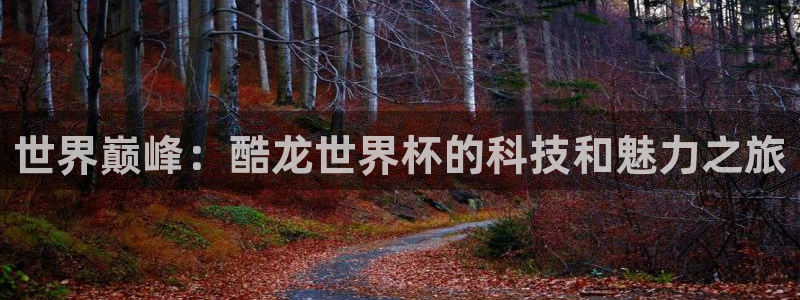 世界杯在线直播入口：世界巅峰：酷龙世界杯的科技和魅力之旅