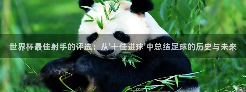 世界杯足球赛：世界杯最佳射手的评选：从\'十佳进球\'中总结足球的历史与未来