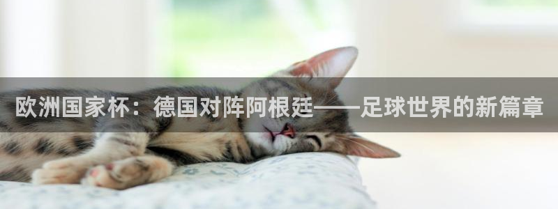 女足世界杯赛程：欧洲国家杯：德国对阵阿根廷——足球世界的新篇章