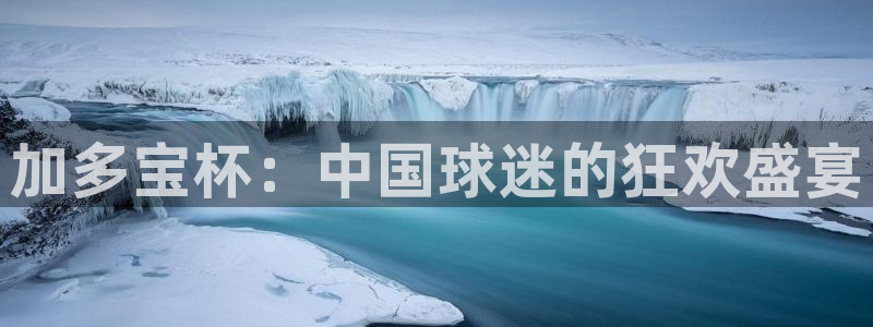 世界杯直播平台：加多宝杯：中国球迷的狂欢盛宴