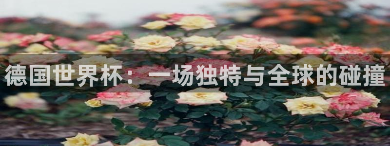世界杯直播平台：德国世界杯：一场独特与全球的碰撞