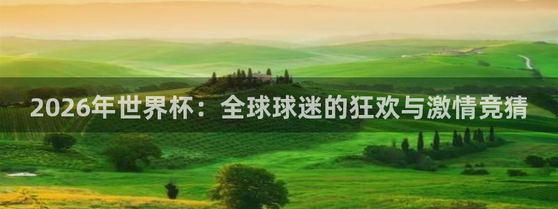 2026葡萄牙杯赛程表：2026年世界杯：全球球迷的狂欢与激情竞猜