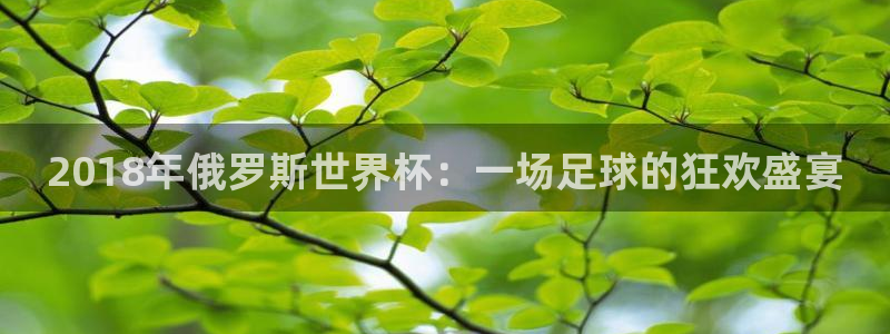 女足世界杯赛程：2018年俄罗斯世界杯：一场足球的狂欢盛宴